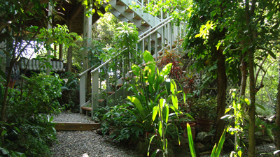 Tropical Garden Entry