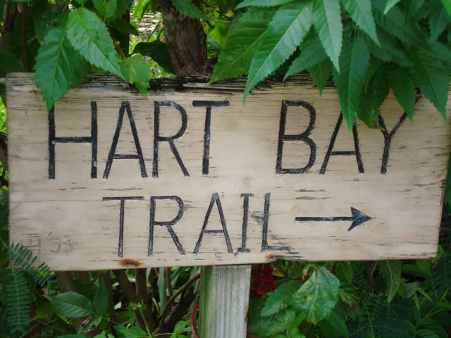 Path to Hart Bay
